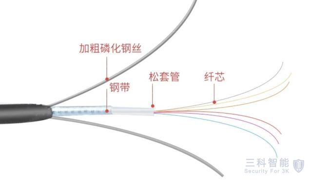 香蕉视频色版APP光纖